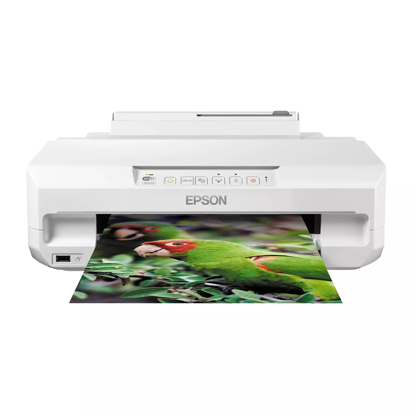 Epson C11CD36402 Photo 1