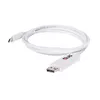 Адаптер USB 3.1 Type C на DisplayPort 1.2 CLUB3D Photo 2