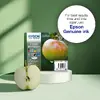 Epson T1292 Cyan Ink Cartridge Photo 3