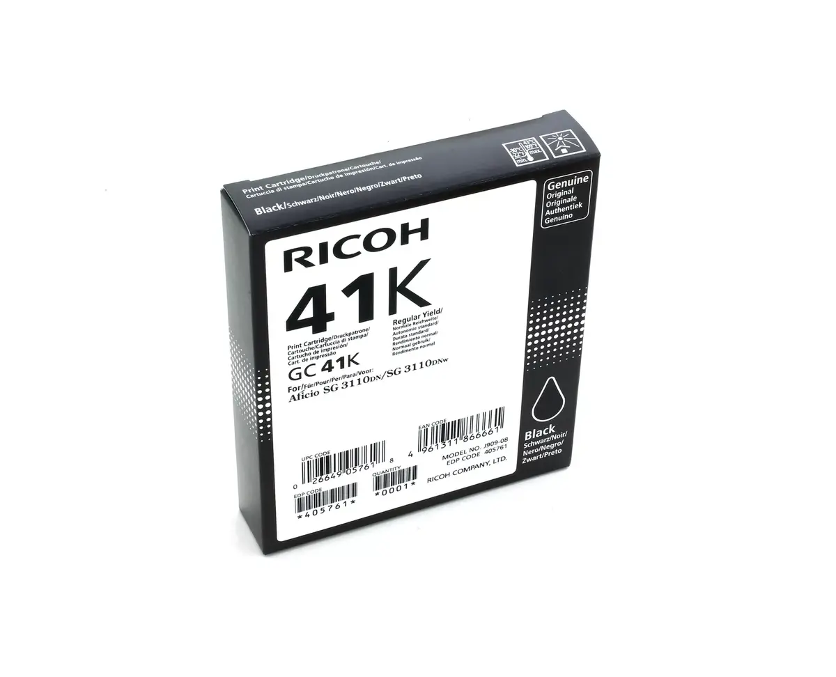 Cartridge Ricoh Ink 405761 GC41K Black Photo 2