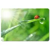 Mouse pad Esperanza EA133 Photo 3