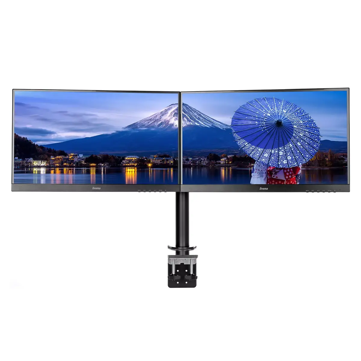 Крепление для монитора iiyama DS1002C-B1 Photo 2
