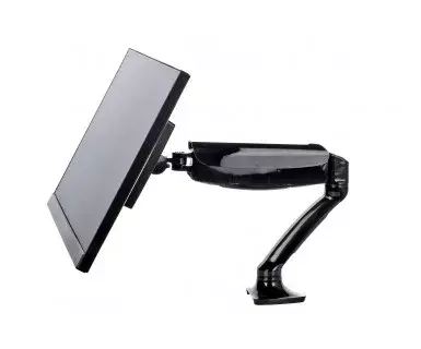 Крепление для монитора iiyama DS3001C-B1 Photo 4