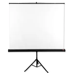 Экран для проекции Avtek International Tripod Standard 200
