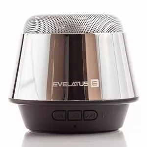Portable Speaker Evelatus ESP01 Silver