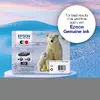 Epson Polar bear 26 Claria Premium foto melnā tinte Photo 7