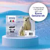 Чернила Epson Polar bear 26XL Claria Premium Photo Black Photo 5