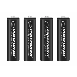 Household Battery AA Esperanza EZA106