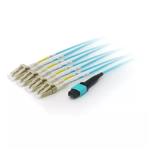 Equip MTP/MTP Trunk Fiber Optic Patch Cable, OM4, 7m