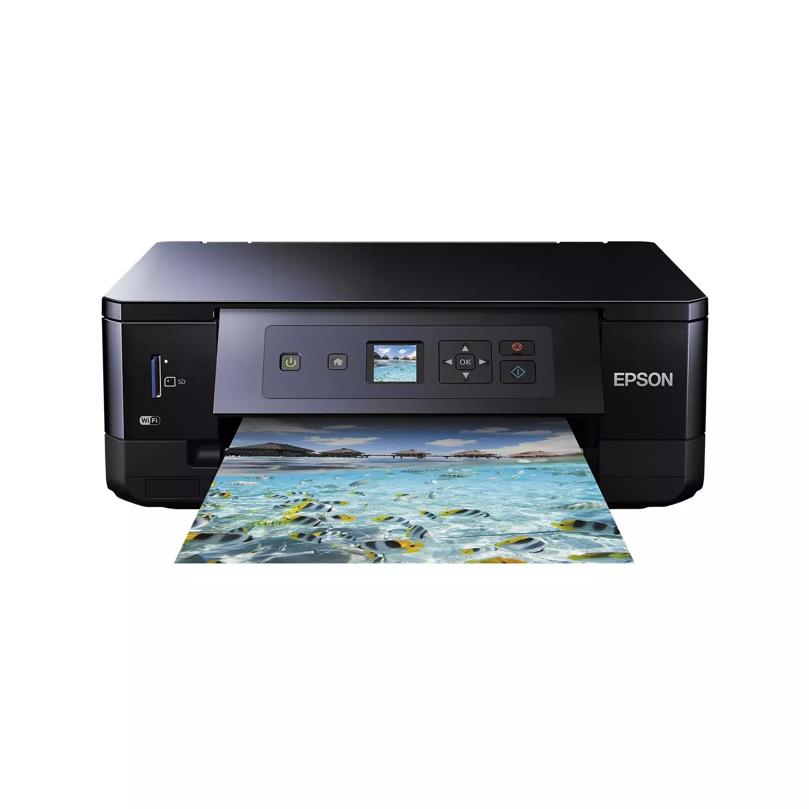 Epson C11CF51402 Photo 1