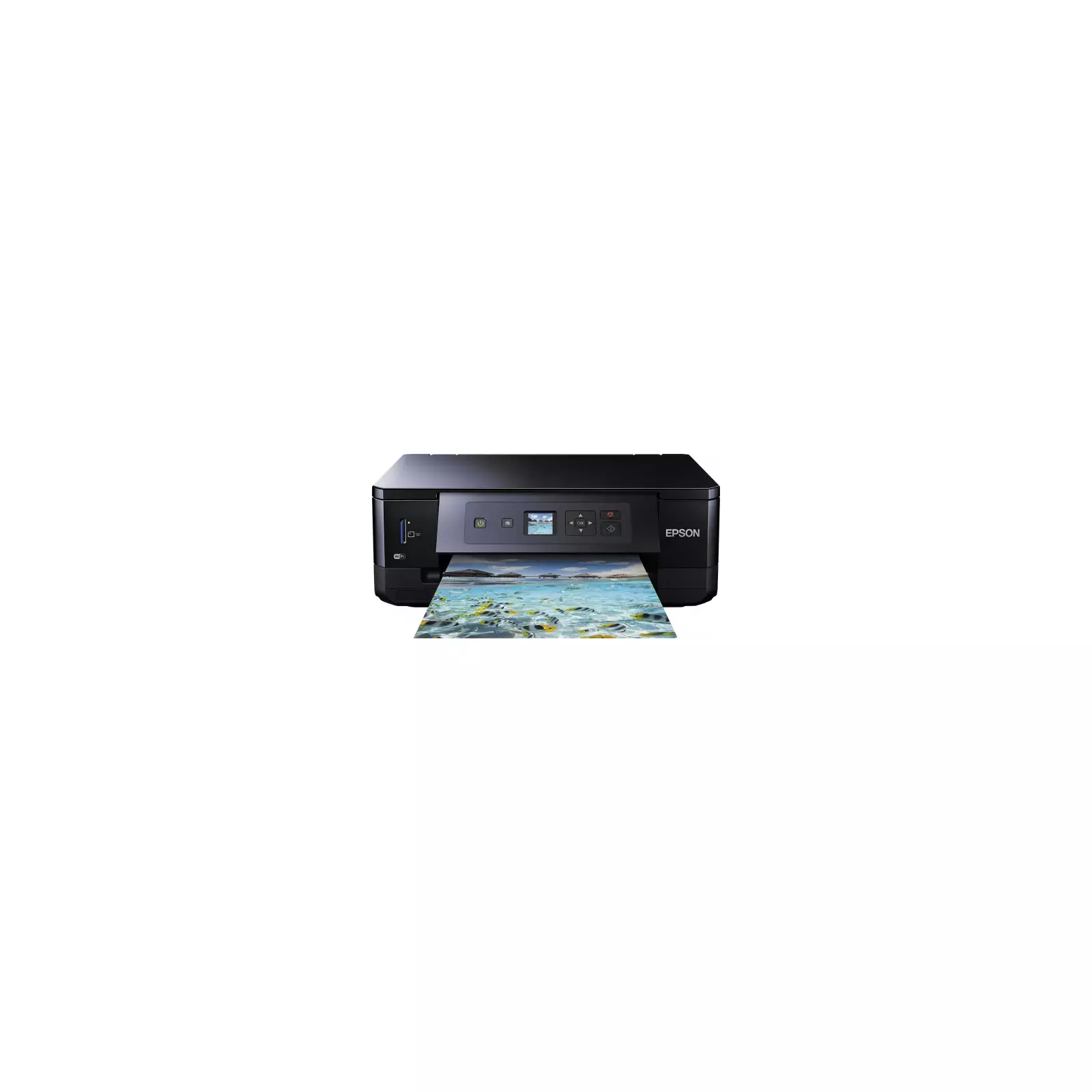 Epson C11CF51402 Photo 2