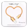 Cable Lightning - USB Happy Plugs 2m Photo 2