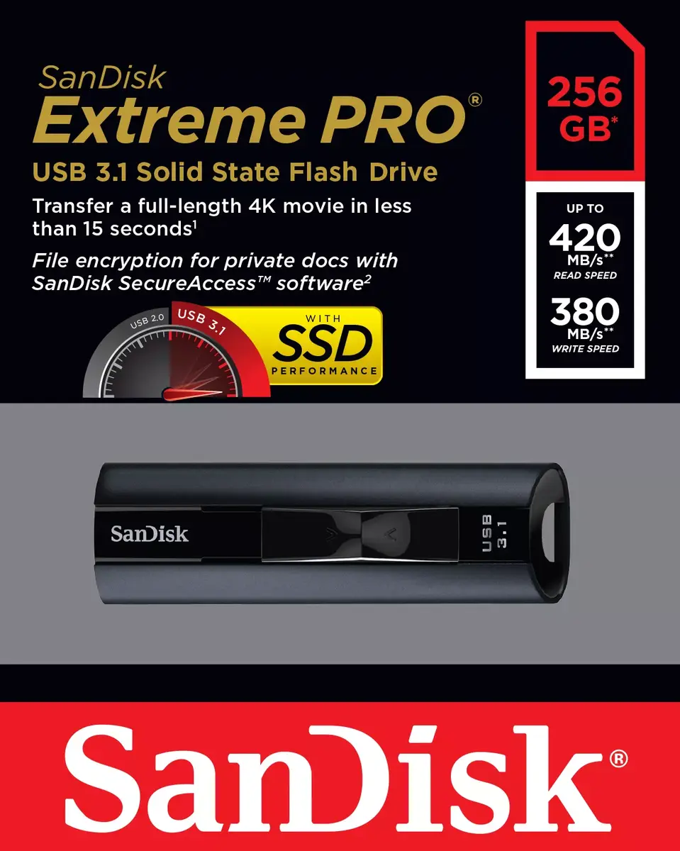 USB флеш-память SanDisk 256 ГБ SDCZ880-256G-G46 Photo 7
