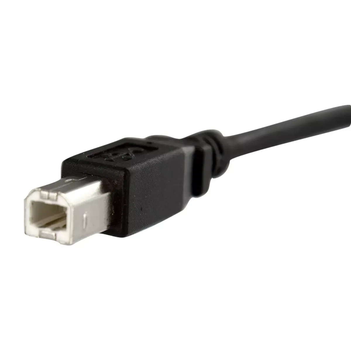Paneļa montāžas USB kabelis B uz B - F/M, StarTech.com, USBPNLBFBM1 Photo 3