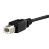 Paneļa montāžas USB kabelis B uz B - F/M, StarTech.com, USBPNLBFBM1 Photo 3
