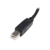 USB 2.0 A uz B kabelis StarTech.com USB2HAB2M Photo 3