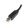 USB 2.0 A к B кабель StarTech.com USB2HAB3M Photo 3