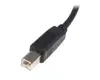 StarTech USB 2.0 A to B Cable 0.5m USB2HAB50CM Photo 3