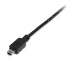USB кабель StarTech.com USB2HABM2M Photo 3