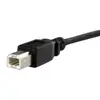 Paneļa montāžas USB kabelis B uz B - StarTech USBPNLBFBM3 Photo 3