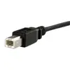 Панельный кабель USB StarTech USB B - B 0.91 м Photo 3