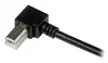 StarTech USB 2.0 A uz Right Angle B kabelis 1m Photo 4
