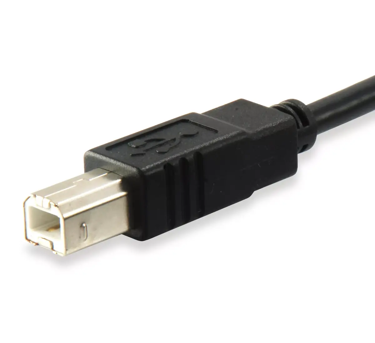 USB 2.0 Type C to Type B Cable Equip 12888207 Photo 2