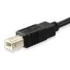 USB 2.0 Type C to Type B Cable Equip 12888207 Photo 2