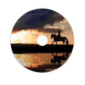 DVD+R Double Layer Verbatim 43703 Photo 3