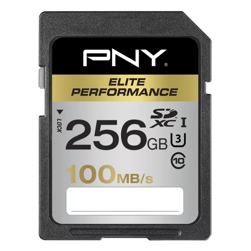 Flash Memory PNY 256GB SDXC SD256ELIPER-EF Photo 2