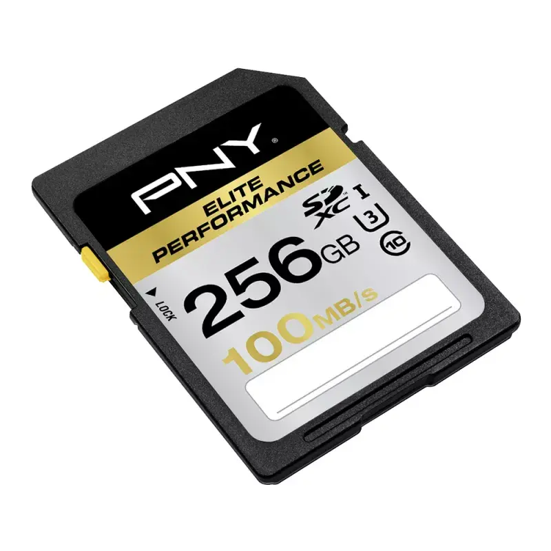 Flash Memory PNY 256GB SDXC SD256ELIPER-EF Photo 3