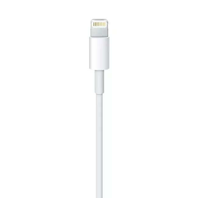 Apple MD819ZM/A Lightning uz USB Kabelis Photo 5