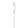 Apple MD819ZM/A Lightning uz USB Kabelis Photo 5