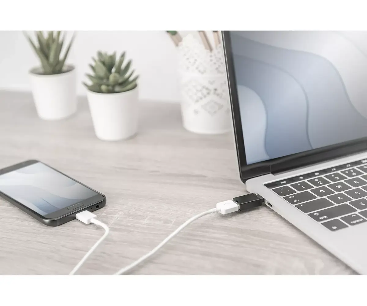 Адаптер USB Type-C Digitus AK-300506-000-S Photo 2