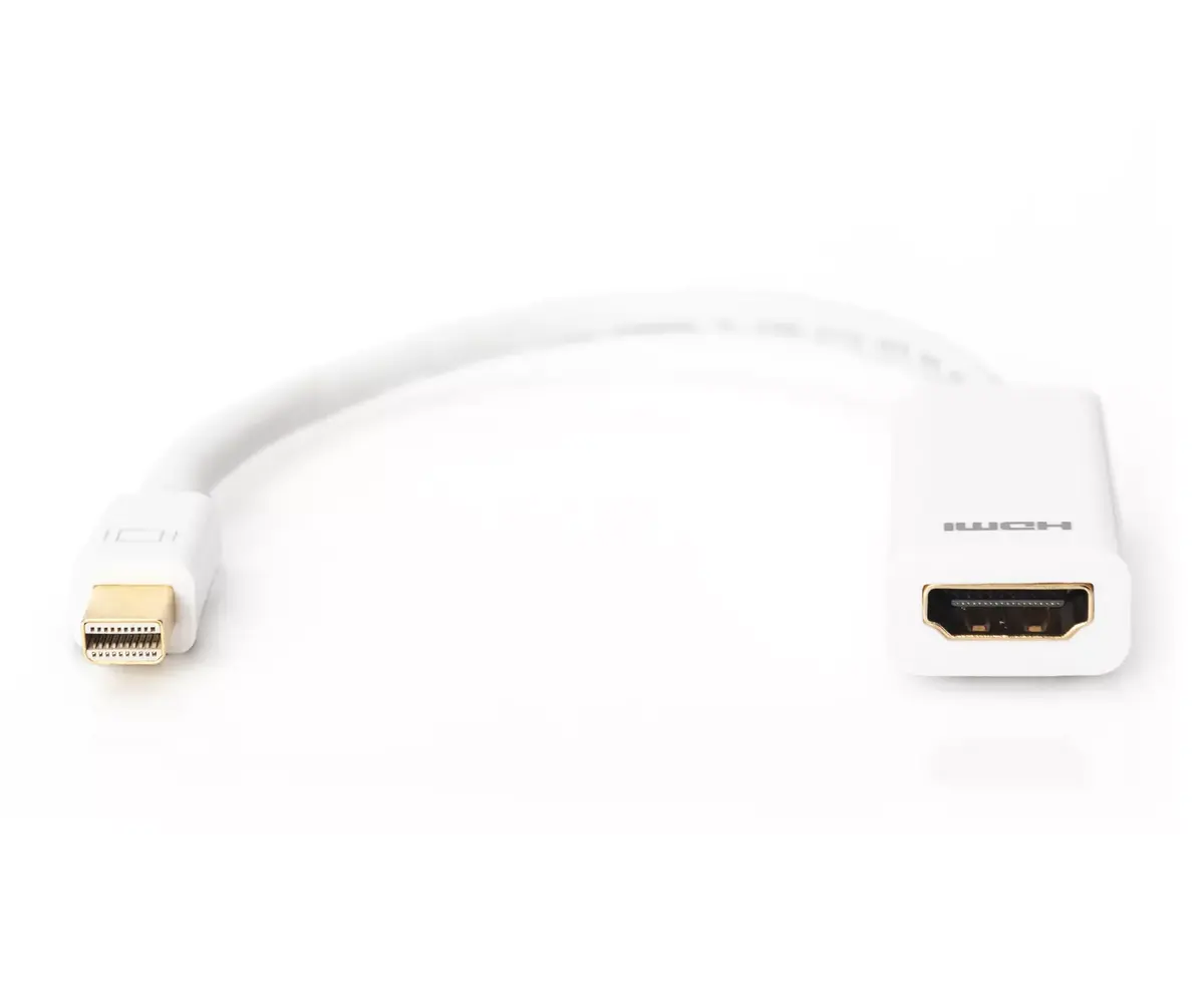 DisplayPort adapteris Digitus AK-340404-001-W Photo 2
