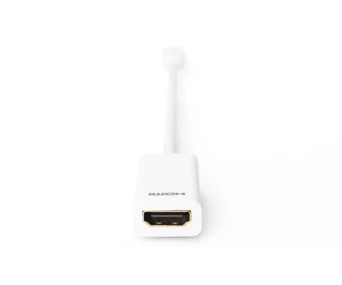 DisplayPort adapteris Digitus AK-340404-001-W Photo 3