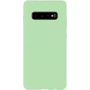 Защитный чехол из мягкого TPU для Samsung Galaxy S10 от Evelatus — мятный