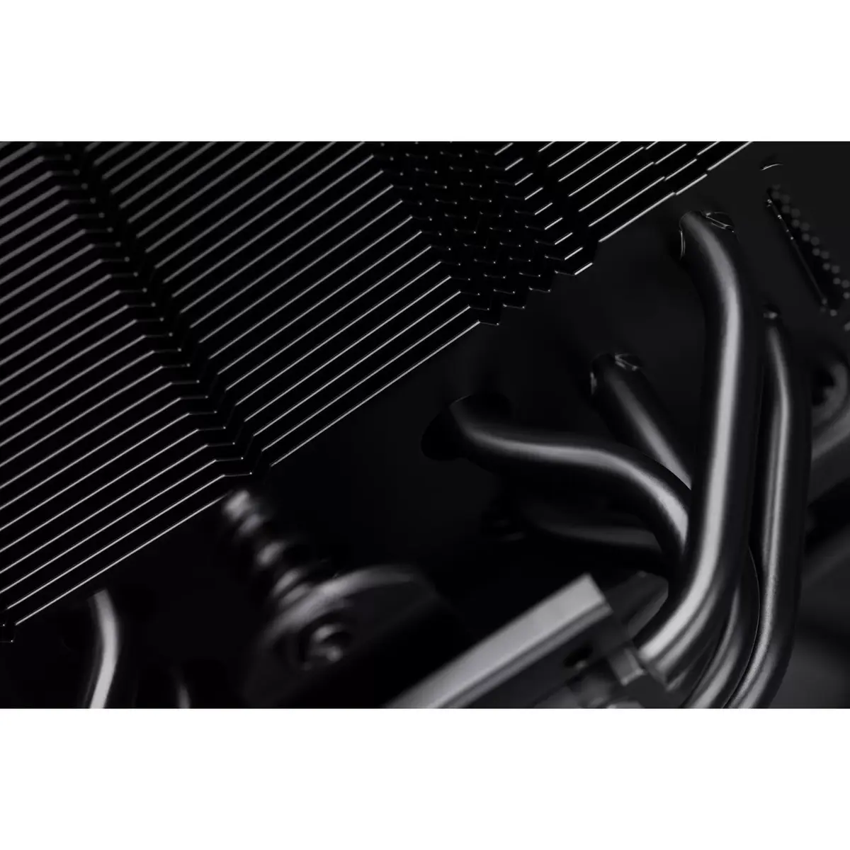 Кулер Noctua NH-U12S chromax.black Photo 5