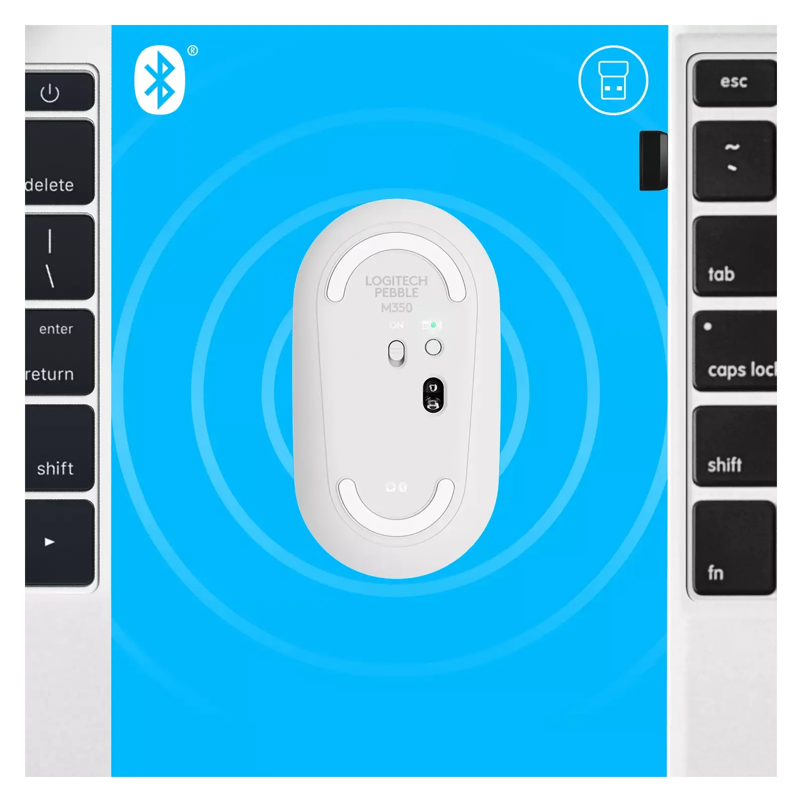 Pele Logitech Pebble M350 Photo 6
