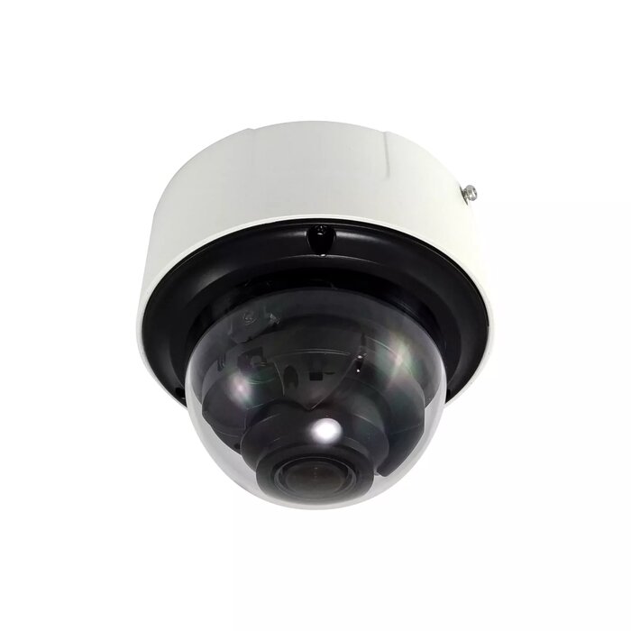 IP Cameras