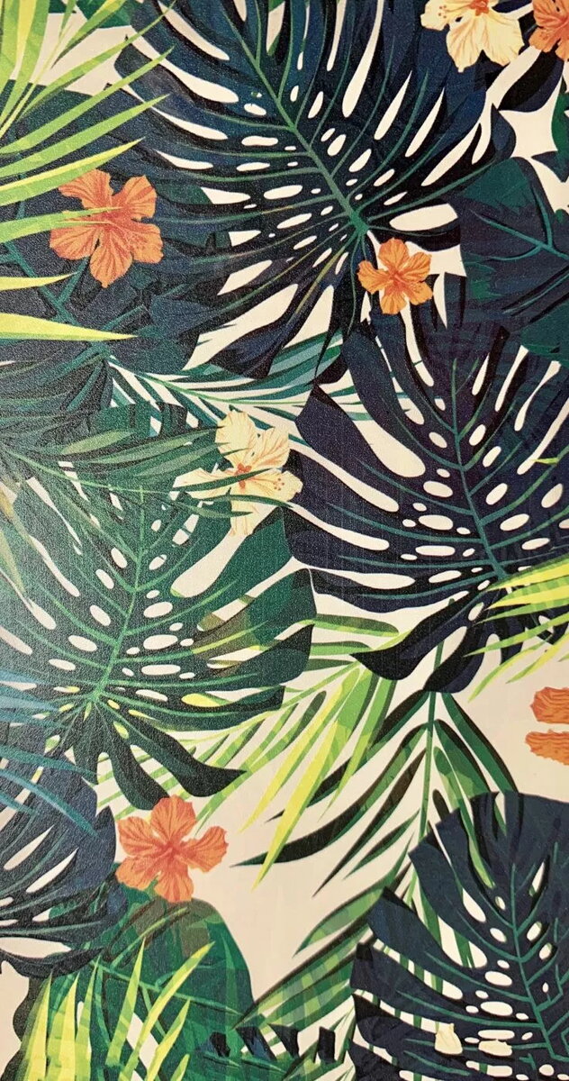Ekrāna aizsargplēve Evelatus Colorful Ferns —