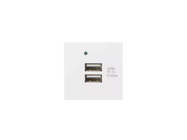 Lanberg AC-4545-2XUSB2.1-W USB Socket-Outlet Photo 3