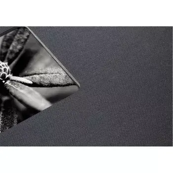 Fotoalbums Hama Fine Art Pelēks 50 lapas Photo 2