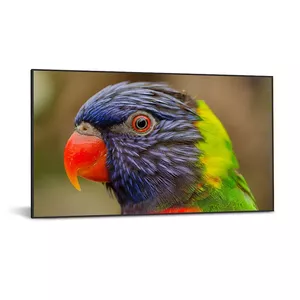 DynaScan DS752LR4 информационный дисплей 190,5 cm (75") ЖК Wi-Fi 3500 cd/m² 4K Ultra HD Черный Android 7.1