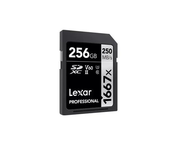 Zibatmiņa Lexar 256GB LSD256CB1667 Photo 2