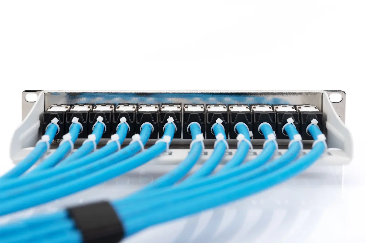 Digitus Modular Patch Panel 12-port Photo 2