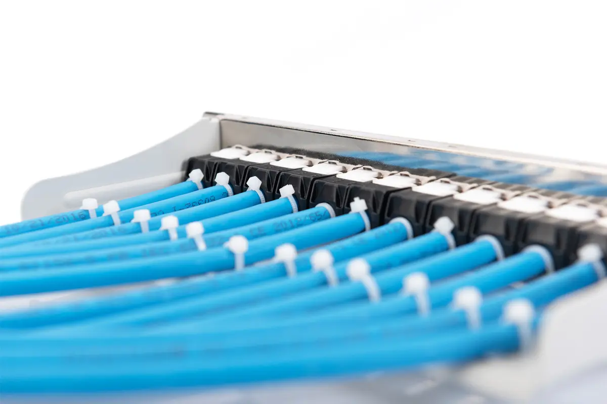 Digitus Modular Patch Panel 12-port Photo 3