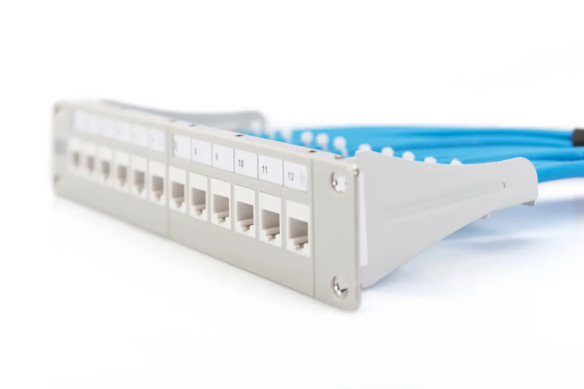 Digitus Modular Patch Panel 12-port Photo 4