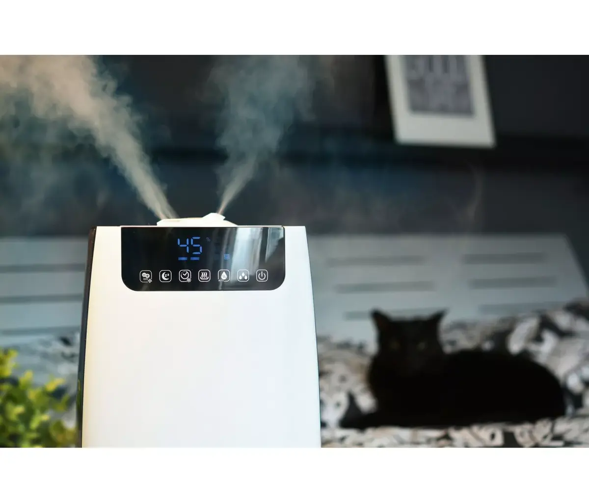 Humidifier Blaupunkt AHS802 Photo 4