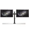 Desk Mount Dual Monitor Arm StarTech ARMDUAL2 Photo 10